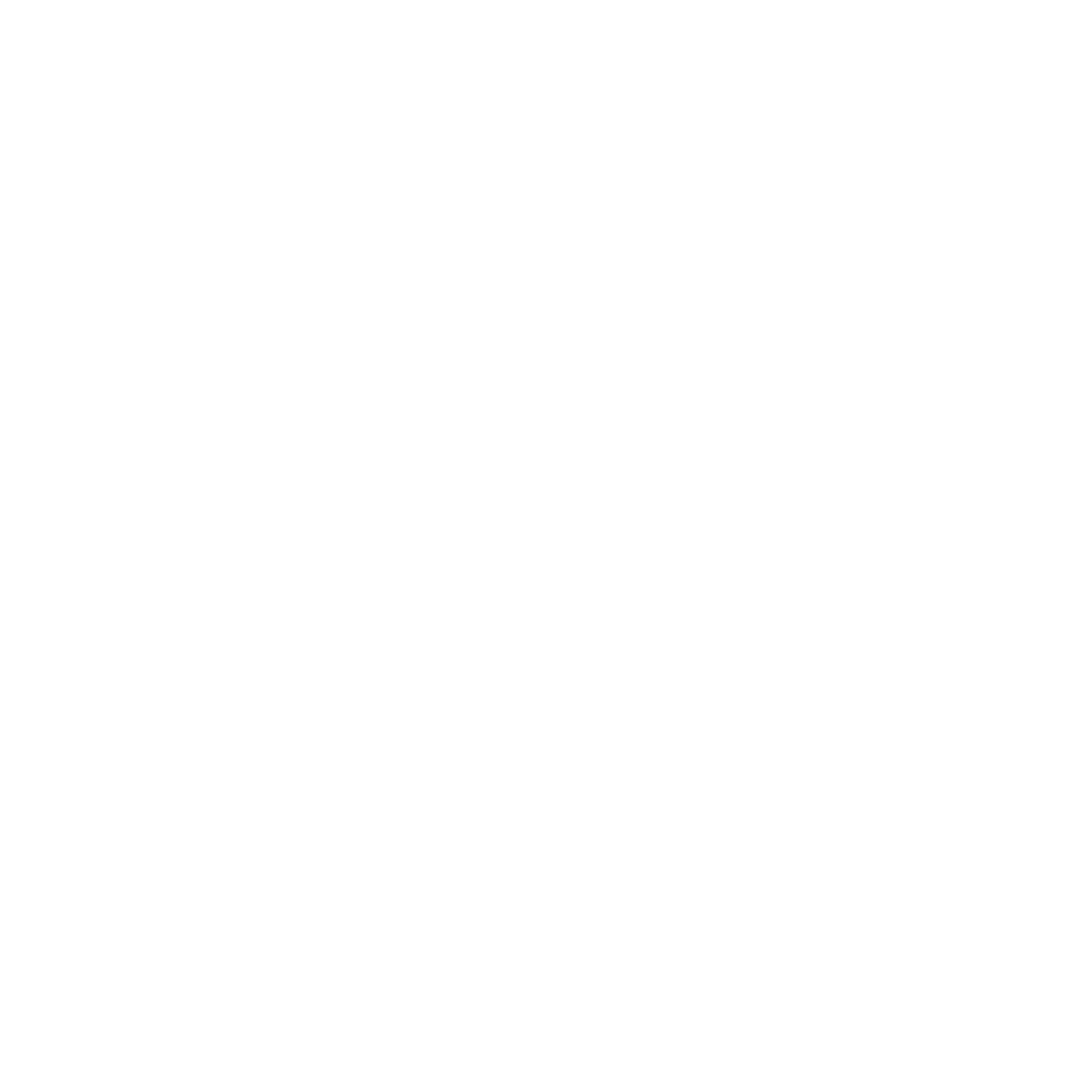 Etherion Softwares